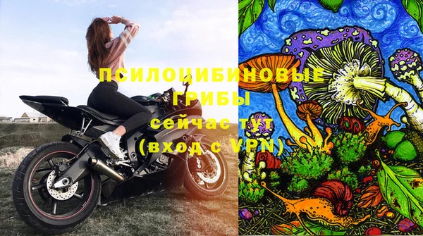 соль ск Саяногорск