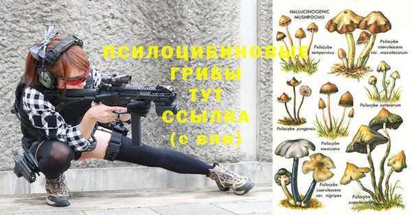 синтетический гашиш Балахна